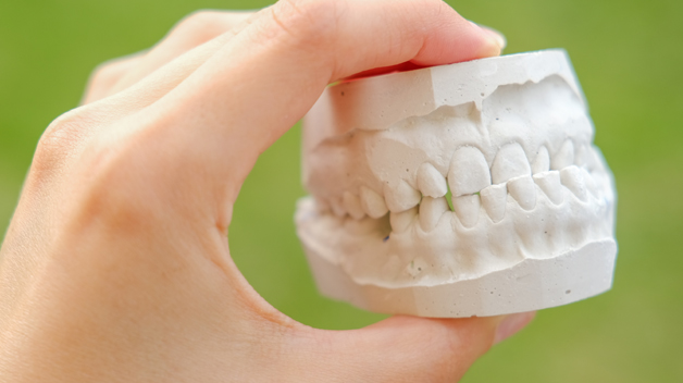 3D-Model Of Teeth